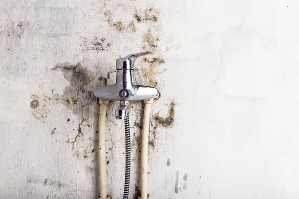 Mold Removal and Inspection in Grenelefe, FL