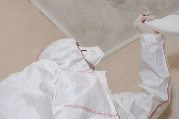 Best Office Mold Removal Services  in Grenelefe, FL